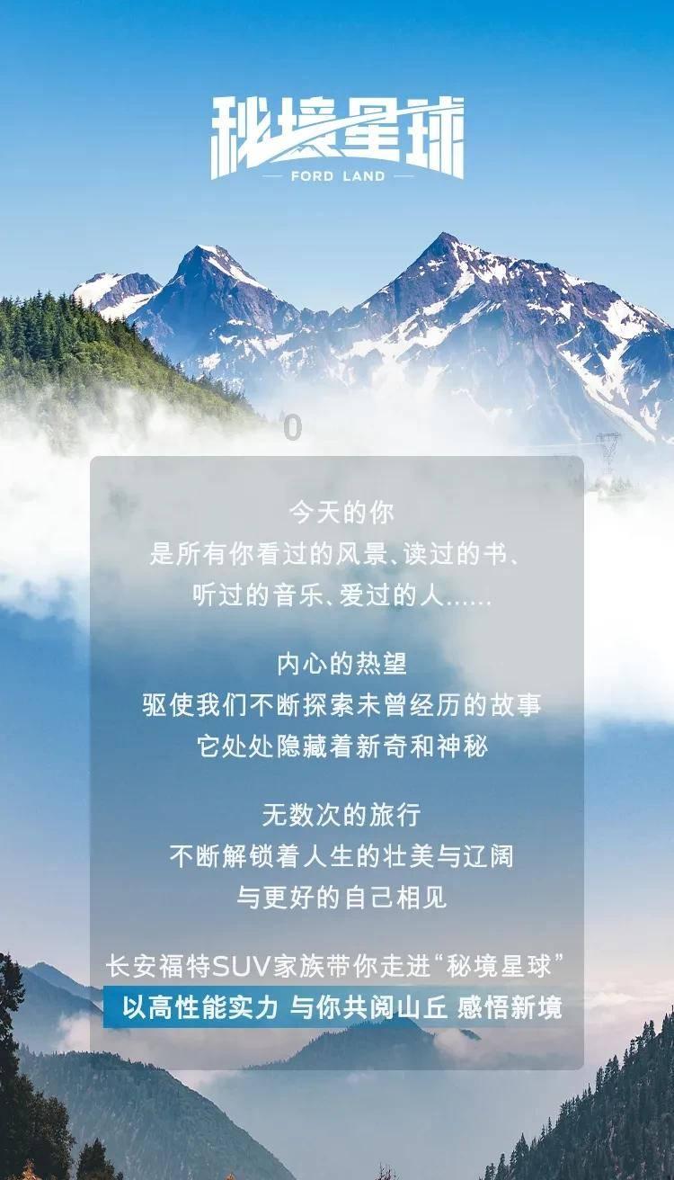 救援呆萌的猫