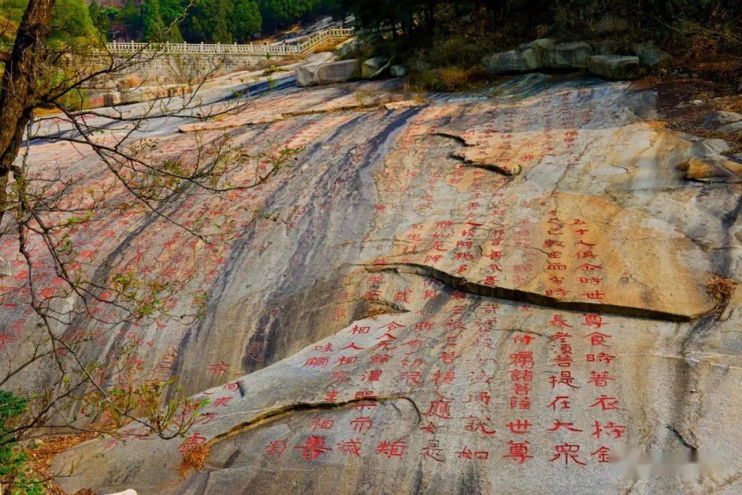 中方是否已正式承认阿富汗塔利班政府?外交部回应